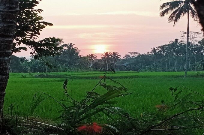 PERAN ISLAM SEBAGAI "RAHMATAN LIL'ALAMIN MENJAGA" BUMI.